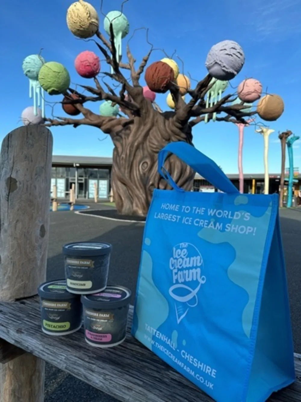 Branded Thermal Cooler Bags: The Ice Cream Farm's Recipe for Sales & Sustainability