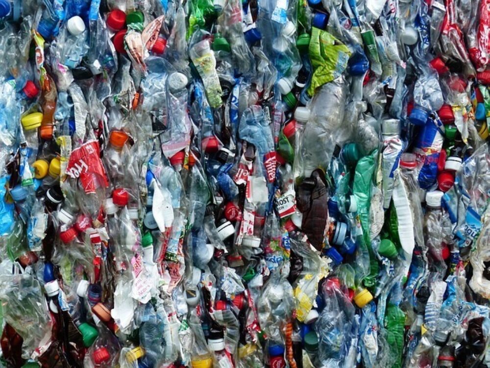 A Lot a Bottle! - Recycling Plastic Bottles and Reducing Single-Use Plastics