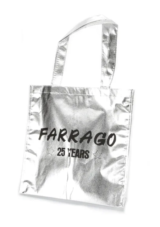 Metallic Small Tote with velcro fastener